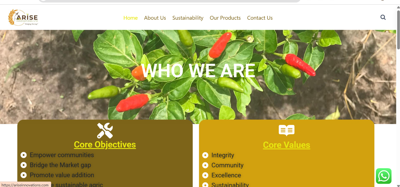 Arise Innovations Ltd Website